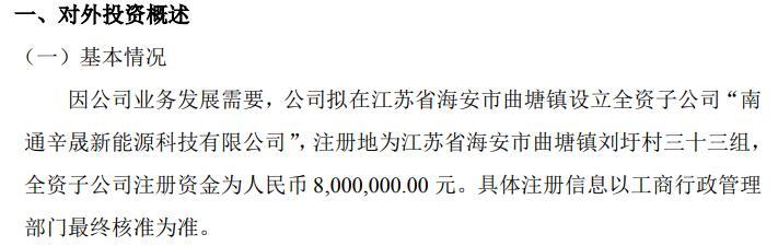 辛巴科技拟投资800万设立全资子公司南通辛晟新能源科技